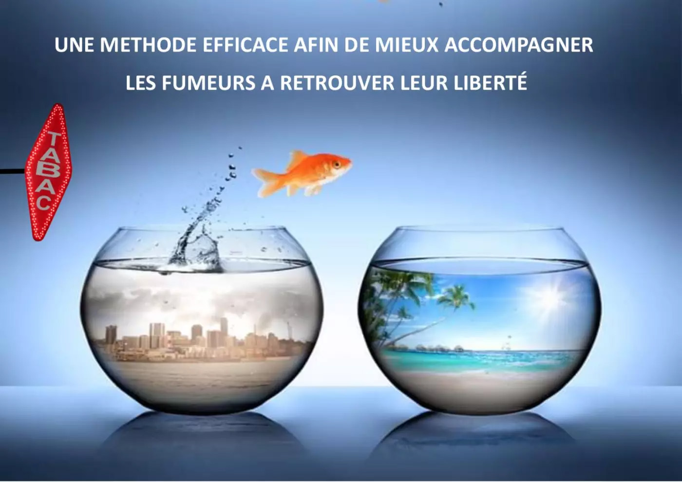 Vendredi 28 janvier à 20h30